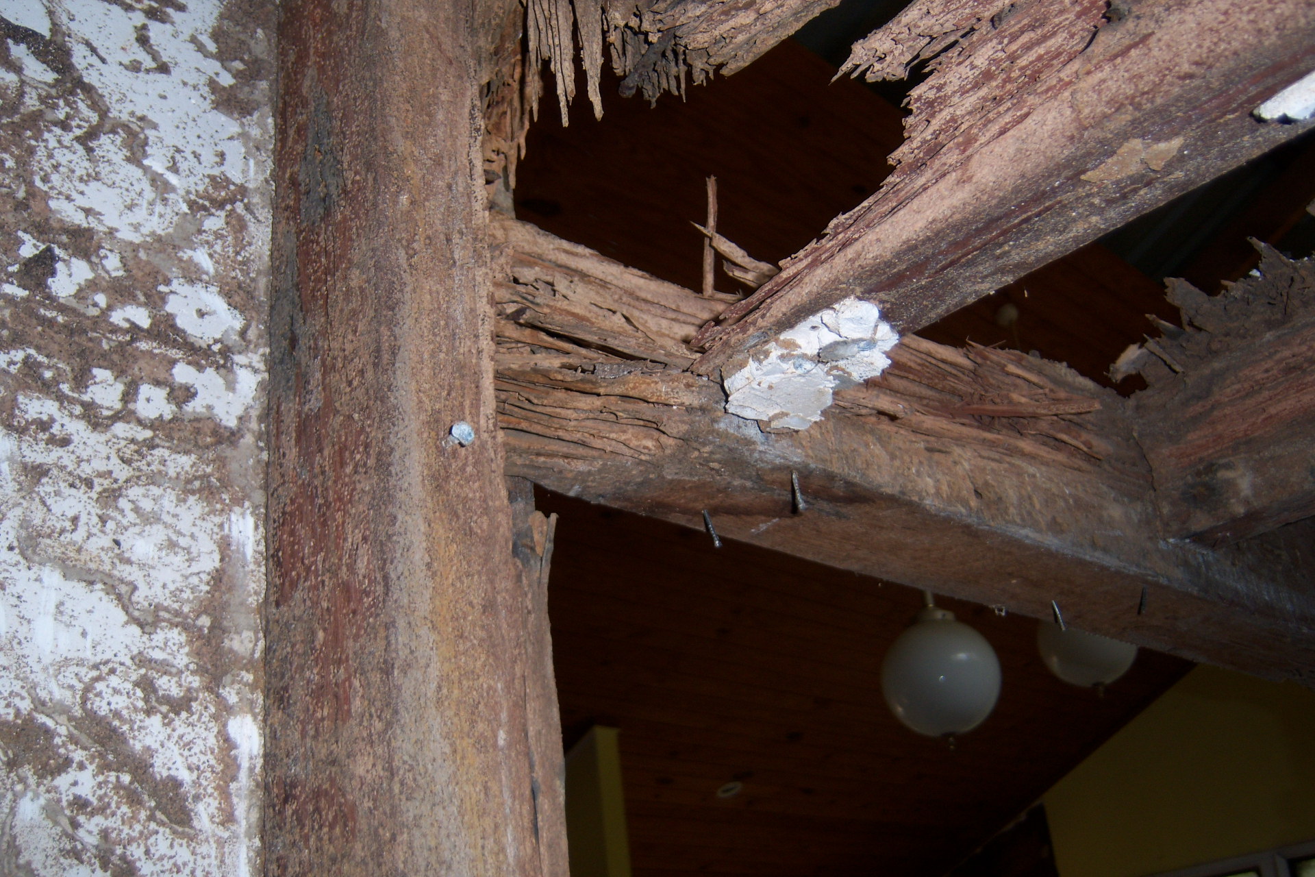 termite-inspection